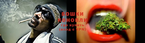 крисы Нефтегорск
