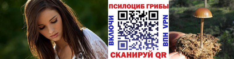 Галлюциногенные грибы Magic Shrooms  Купить закладки  Петров Вал 