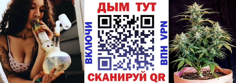 Купить закладки  Петров Вал  Шишки марихуана Amnesia 