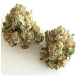 Шишки "White Widow"  (Белая вдова)  Гидропоника -  Бошка VHQ в Петров Вале